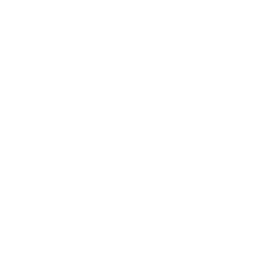 AncelusDB Speed The Fastest Database